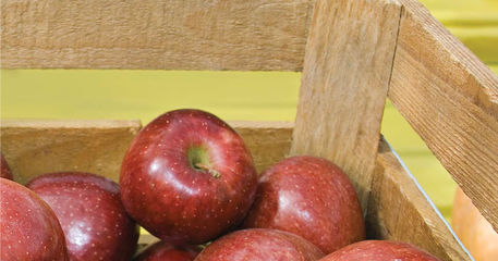 Apple_2