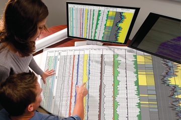 Formation lithology eXplorer (FLeX) service